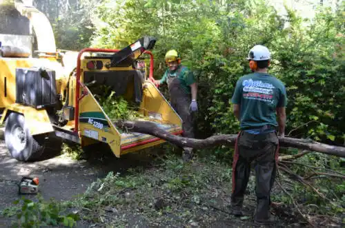 tree services East Brooklyn